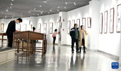 河北石家庄举办传统刺绣文化展